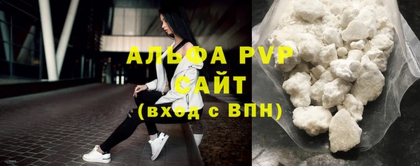 крисы Баксан