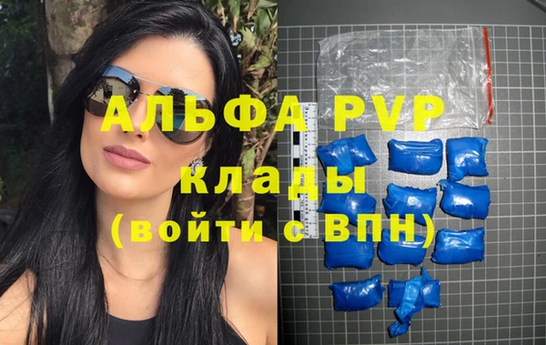 крисы Баксан