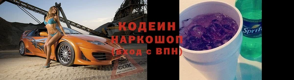 крисы Баксан