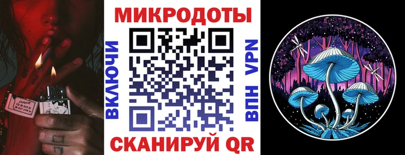 купить наркоту Трубчевск Псилоцибиновые грибы Magic Shrooms